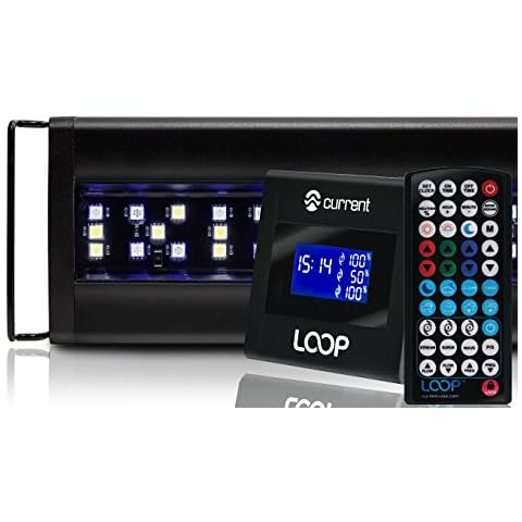 Current USA feature image