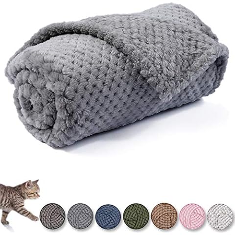 CUTEMATE feature image