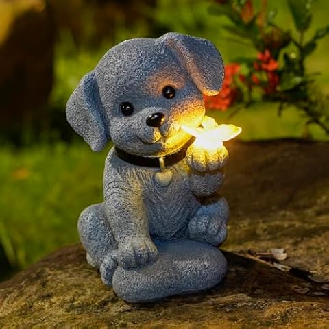 Cyhiyolies thumbnail