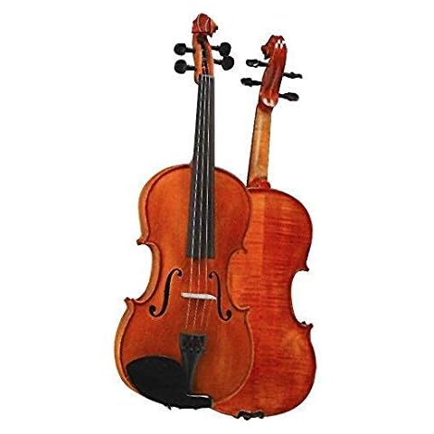D Z Strad thumbnail