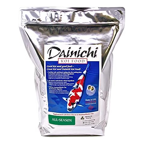 Dainichi thumbnail