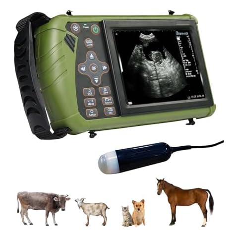 DAWEIanimed thumbnail