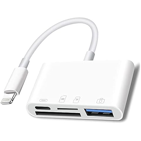 DCNETWORK feature image