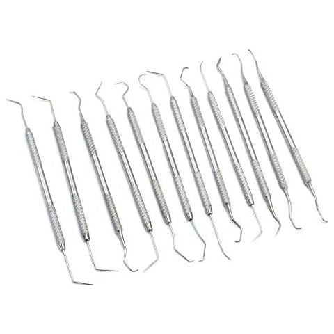 Dental Hygiene Tool Kit - Includes Stainless Steel Tarter Scraper/Scaling  Remover, Dental Toothpick, Mouth Mirror - by Majestic Bombay- Dentists  Tools