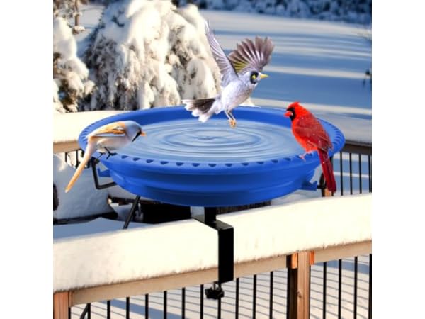 Deck Bird Baths thumbnail