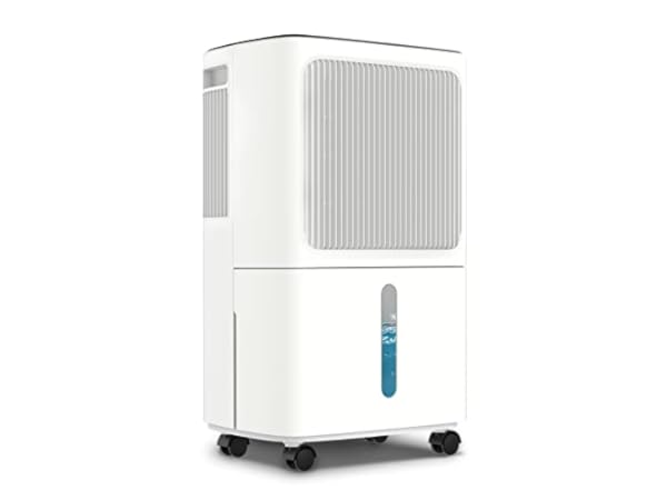 The 10 Best Dehumidifiers Of 2024 (Reviews) - FindThisBest