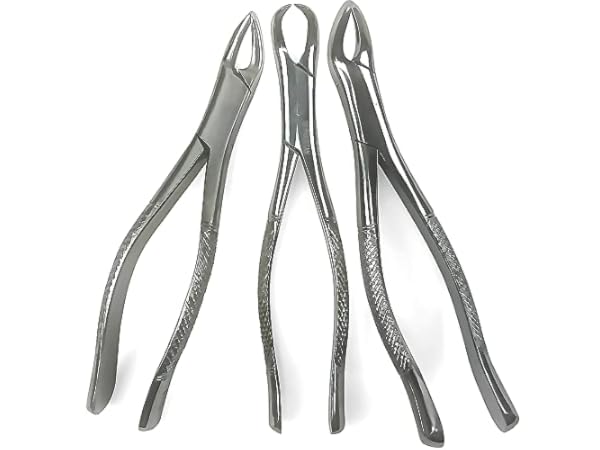Dental Forceps Thumbnail
