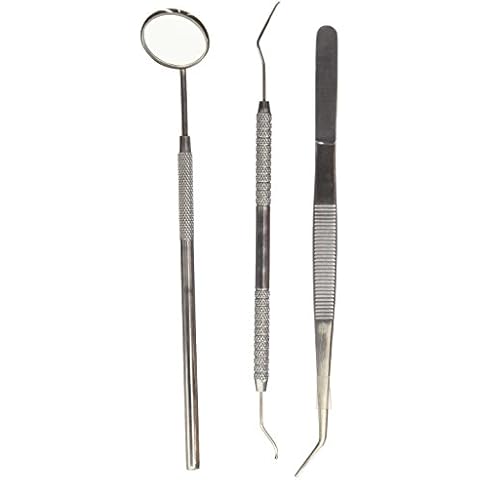 Dental Hygiene Tool Kit - Includes Stainless Steel Tarter Scraper/Scaling  Remover, Dental Toothpick, Mouth Mirror - by Majestic Bombay- Dentists  Tools