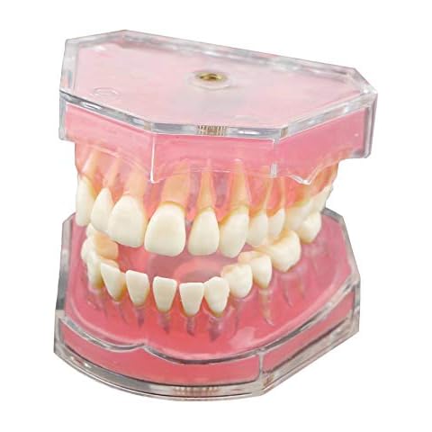 Dentalmall thumbnail