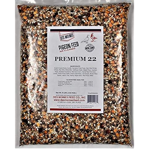 Des Moines Pigeon Feed thumbnail