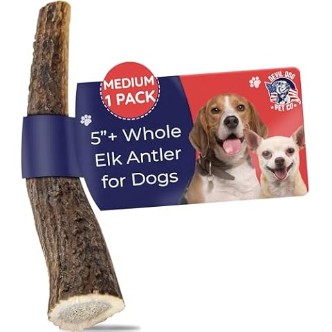 Devil Dog Pet Co feature image