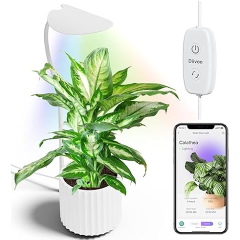 Diivoo Smart Soil Moisture Meter for Indoor Plants Bluetooth