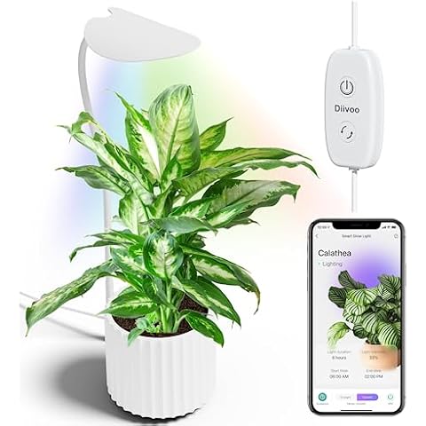 https://us.ftbpic.com/product-amz/diivoo-smart-grow-light-for-indoor-plants-full-spectrum-grow/41wb6uHxPQL._AC_SR480,480_.jpg