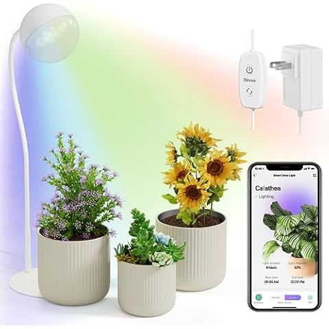 Diivoo Smart Soil Moisture Meter for Indoor Plants, Bluetooth Plant Water  Monitor and Soil Tester with Mobile Phone app for use in Plant Care, Great