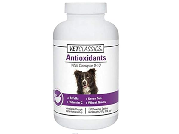 canine antioxidant vision supplement