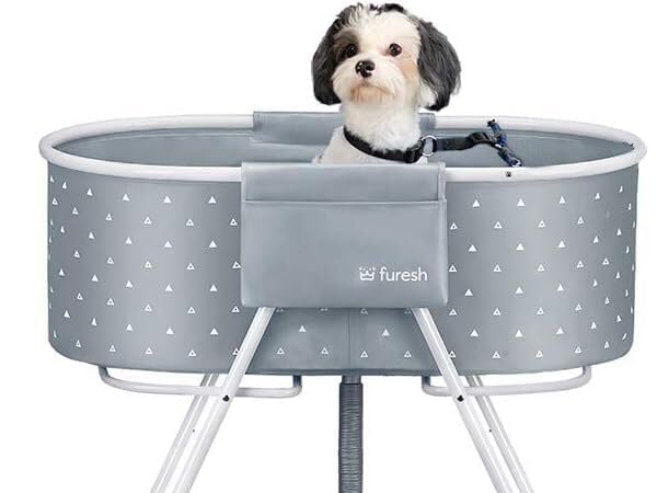 Dog Bathtubs thumbnail