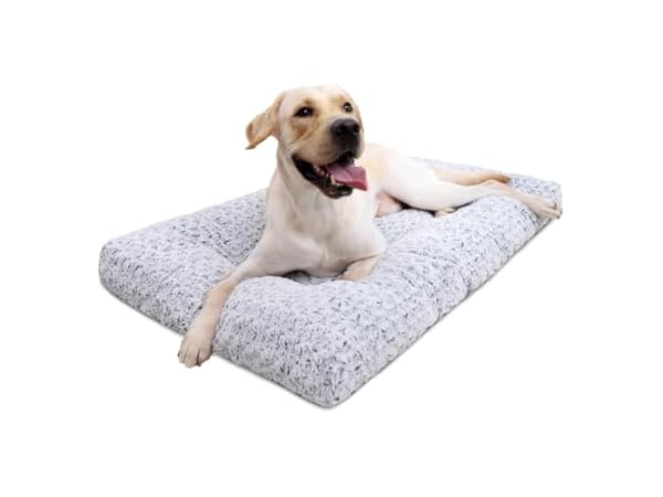 Dog Beds Thumbnail