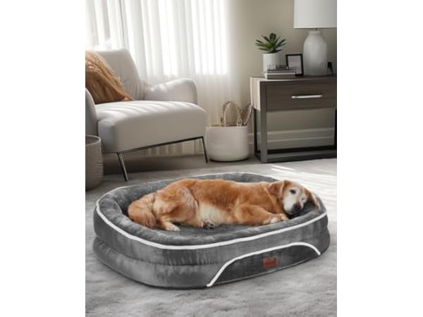 The 10 Best Dog Beds Of 2024 (Reviews) - FindThisBest