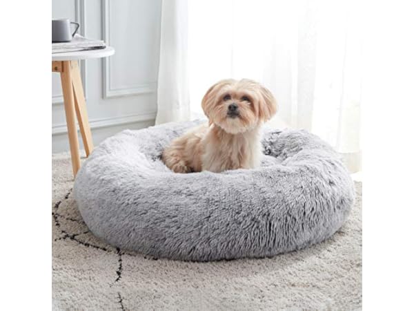 The 10 Best Dog Beds Of 2024 (Reviews) - FindThisBest