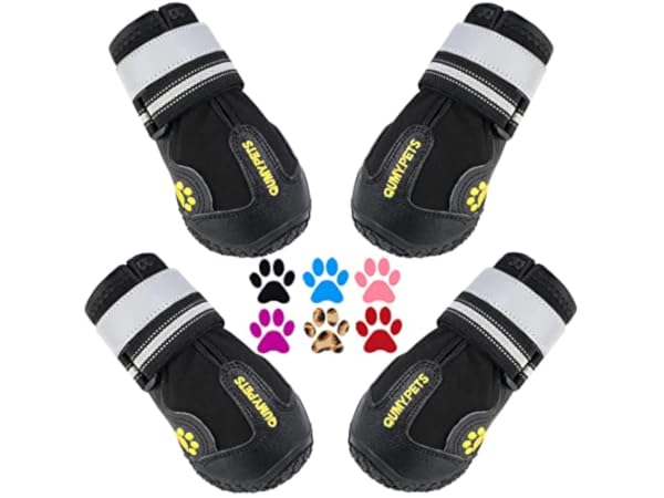 Dog Boots Thumbnail