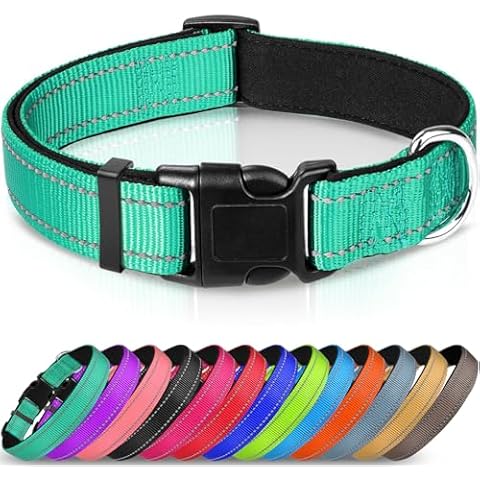 Dog Collars