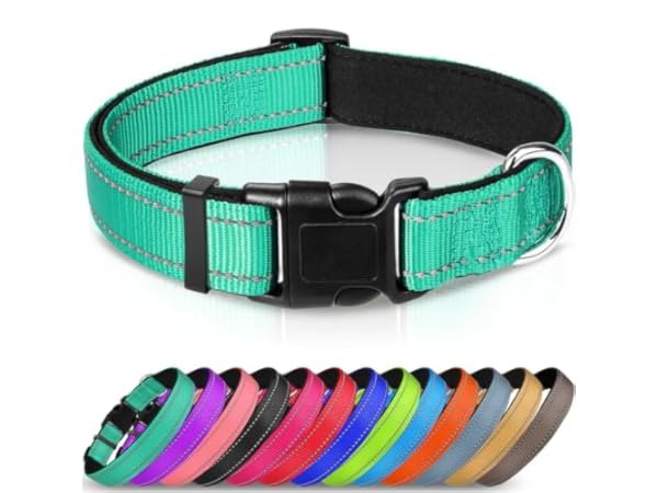 Dog Collars Thumbnail
