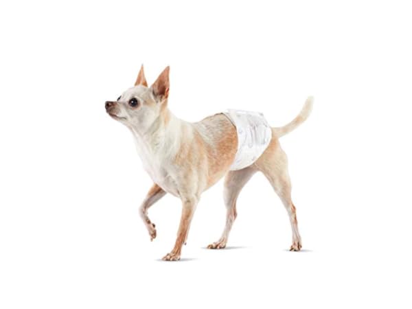 Dog Diapers Thumbnail