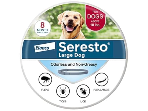 Dog Flea Collars Thumbnail