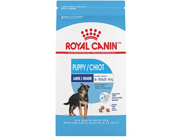 Picture of The 8 Best Dog Food for Dobermans of 2024 (Reviews) - FindThisBest