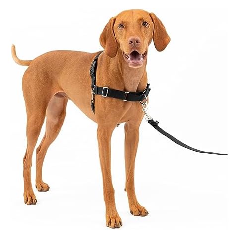 Dog Halter Harnesses