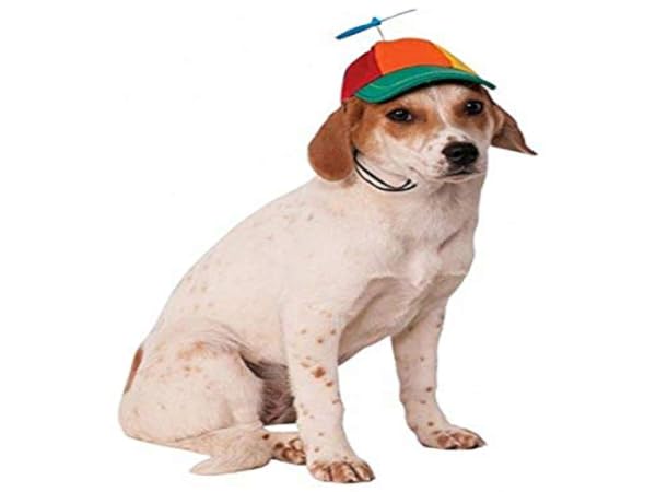 Dog Hats Thumbnail