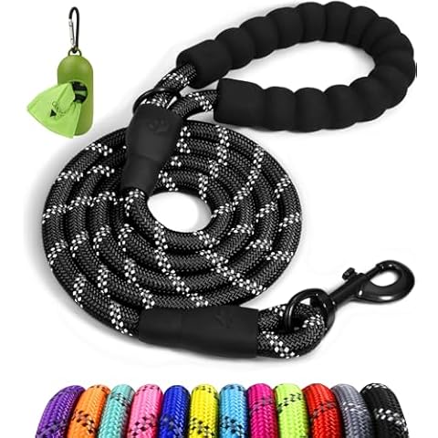 Dog Leashes