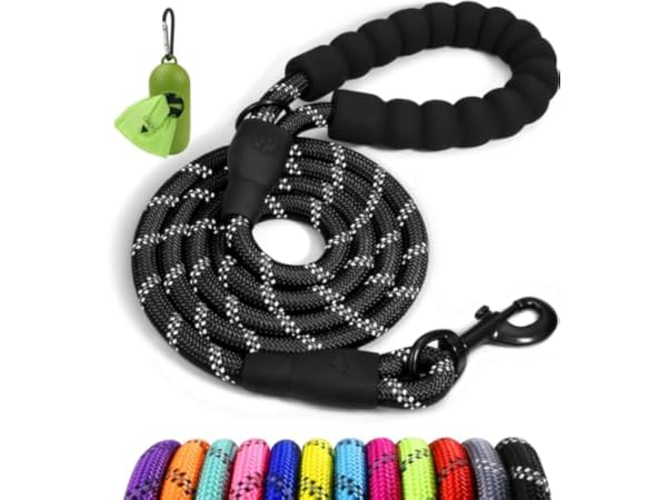 Dog Leashes Thumbnail