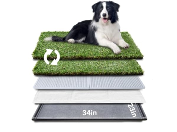 Dog Litter Boxes Thumbnail