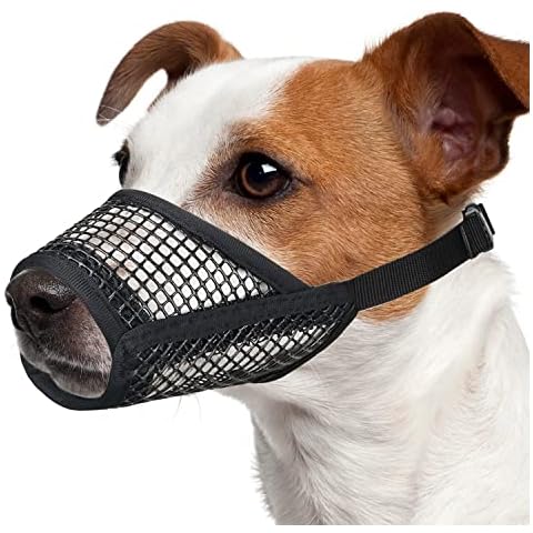 Top 10 Best Dog Muzzles for Labrador Retriever in 2023 (Reviews ...