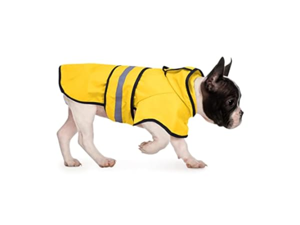 Dog Raincoats Thumbnail