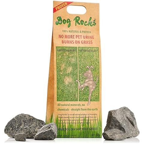 Dog Rocks thumbnail