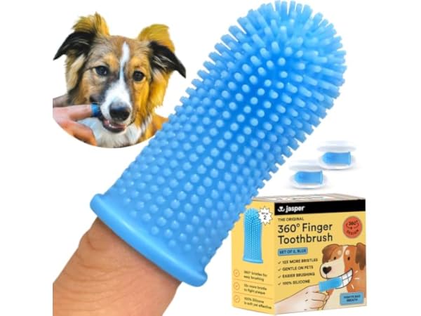 Dog Toothbrushes Thumbnail