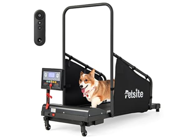 Dog Treadmills Thumbnail