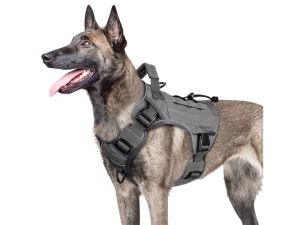 The 10 Best Dog Vest Harnesses for German Shepherd of 2024 (Reviews ...