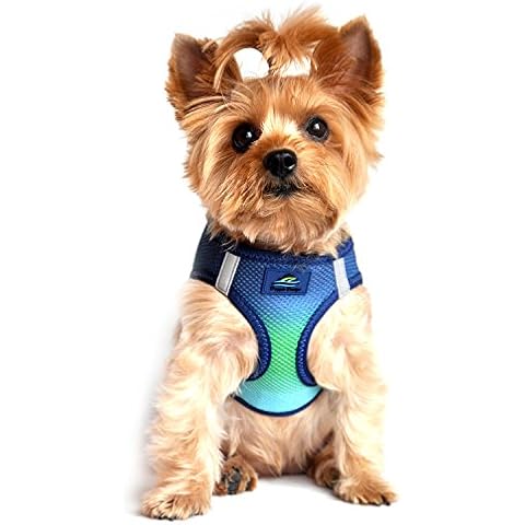 DOGGIE DESIGN thumbnail