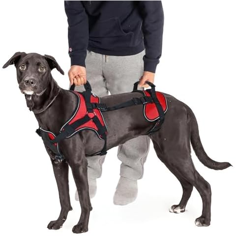 Doggie Stylz thumbnail
