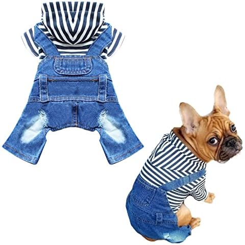 DOGGYZSTYLE feature image