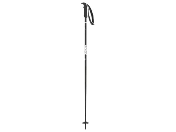 Downhill Ski Poles Thumbnail