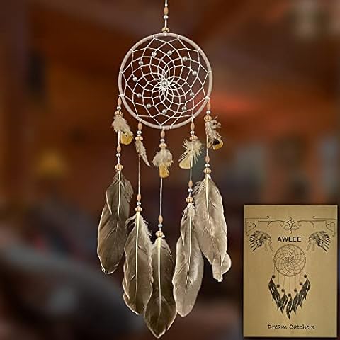https://us.ftbpic.com/product-amz/dream-catchers-handmade-feather-native-home-wall-decoration/51EREOwLpaL._AC_SR480,480_.jpg
