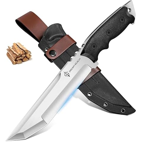 Dream Reach thumbnail