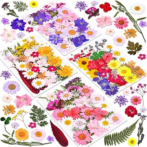 Dried Flowers for Baths