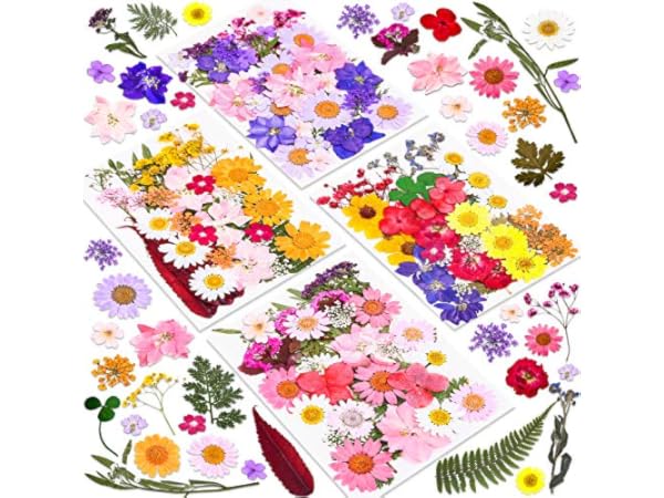 Dried Flowers Thumbnail
