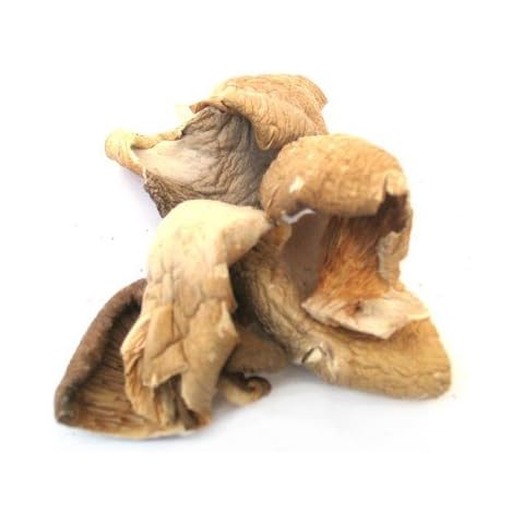 Life Gourmet Shop Paddy Straw Mushrooms 8 oz