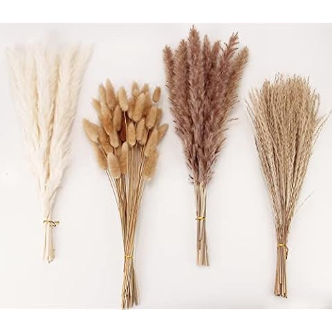 Dried Plants